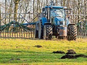 Verweigern Pferde Heu wegen Dngung mit Schweineglle? | Wochenblatt fr  Landwirtschaft & Landleben
