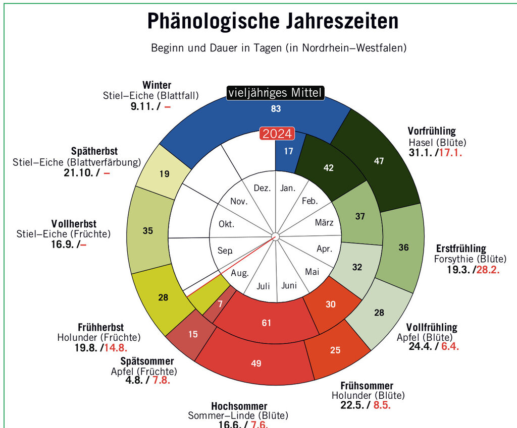 WETTER und KLIMA - Aktuelle Phänologie: Der Herbst lässt grüßen