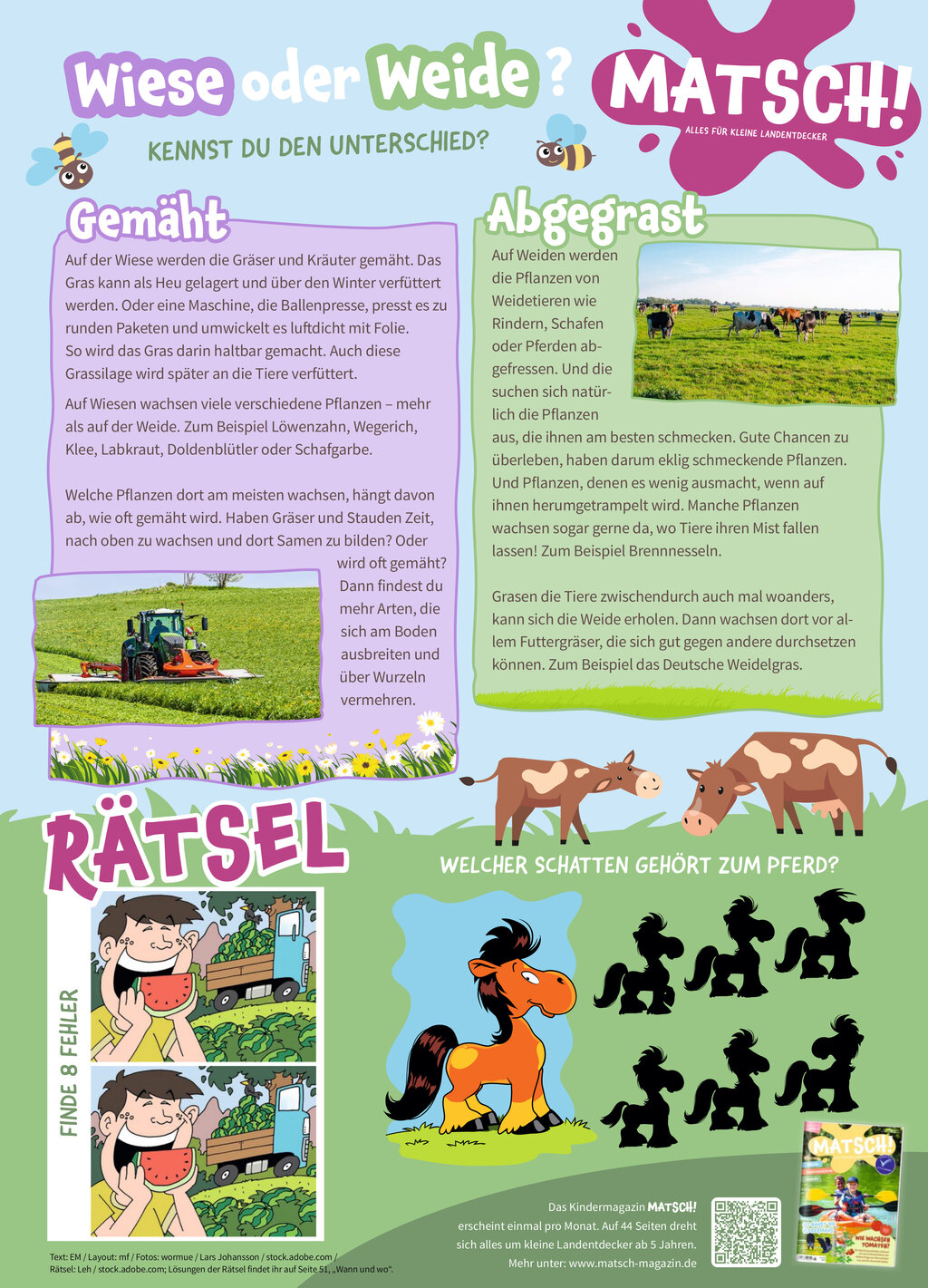 MATSCH! Wiese oder Weide?